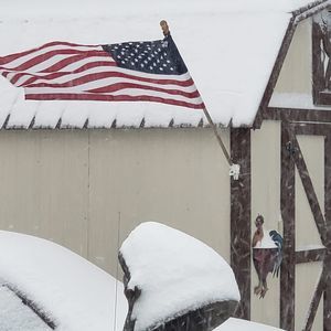 Meet your Posher, Sue